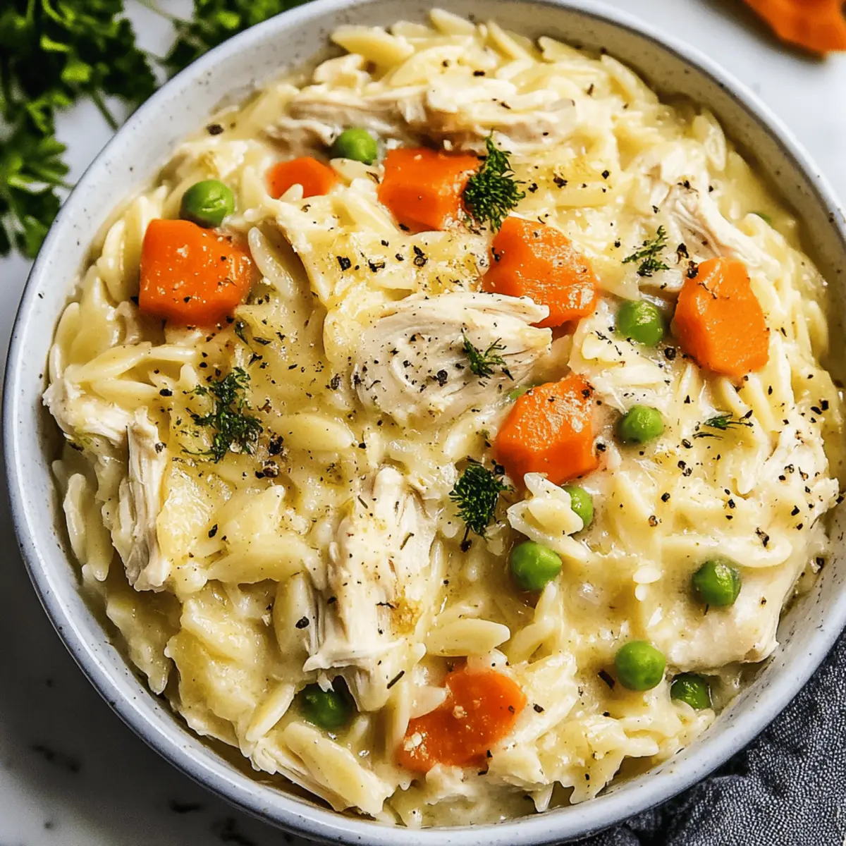 Cozy Chicken Pot Pie Orzo