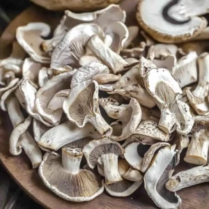 How to Dehydrate Mushrooms