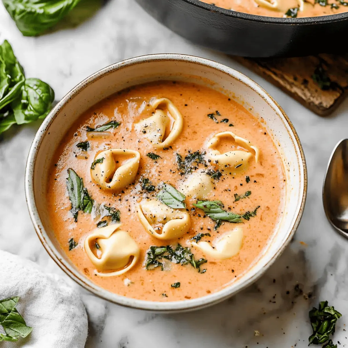 Creamy Tomato Tortellini Soup Ready in Just 25 Minutes