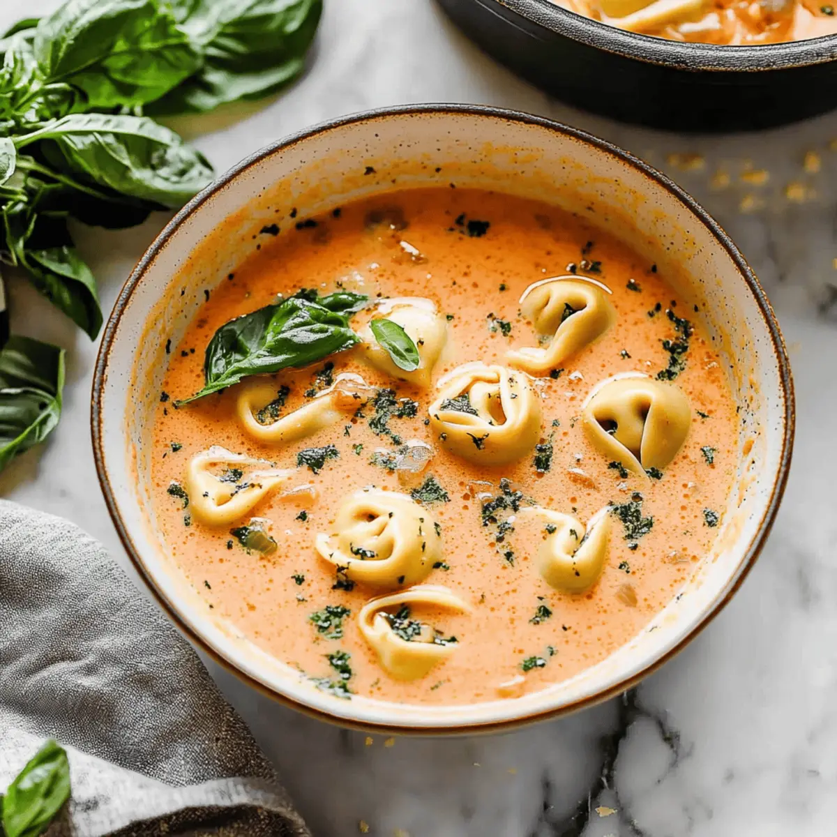 Creamy Tomato Tortellini Soup Ready in Just 25 Minutes