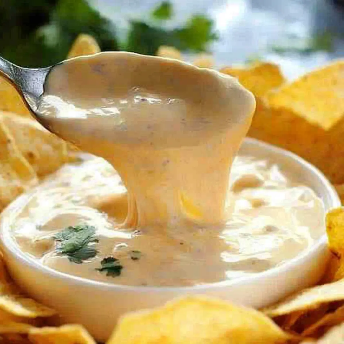 Nacho Cheese Sauce